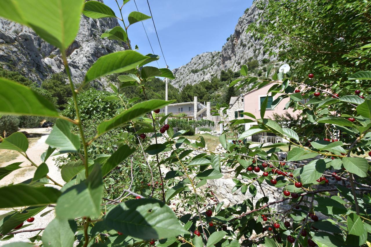 Apartment Petea Omiš Exterior foto